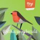 erithacus rubecula paper figures european robin petirrojo pitroig
