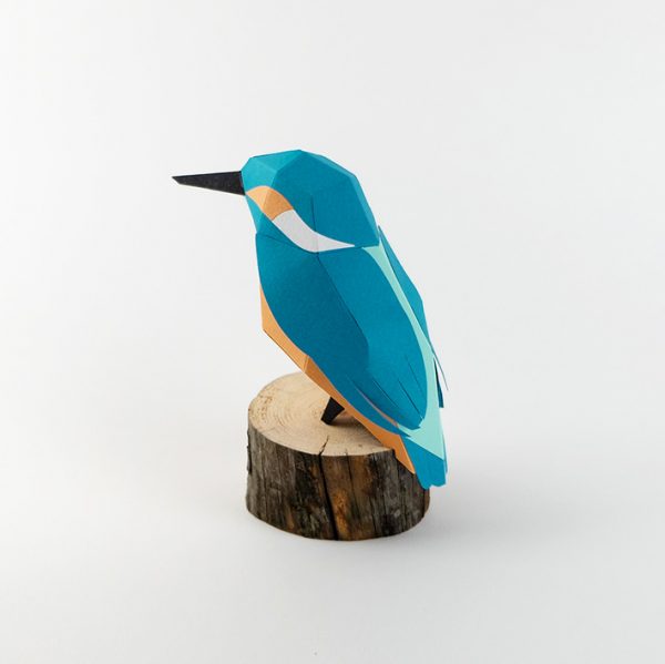 alcedo atthis kingfisher blauet martin pescador