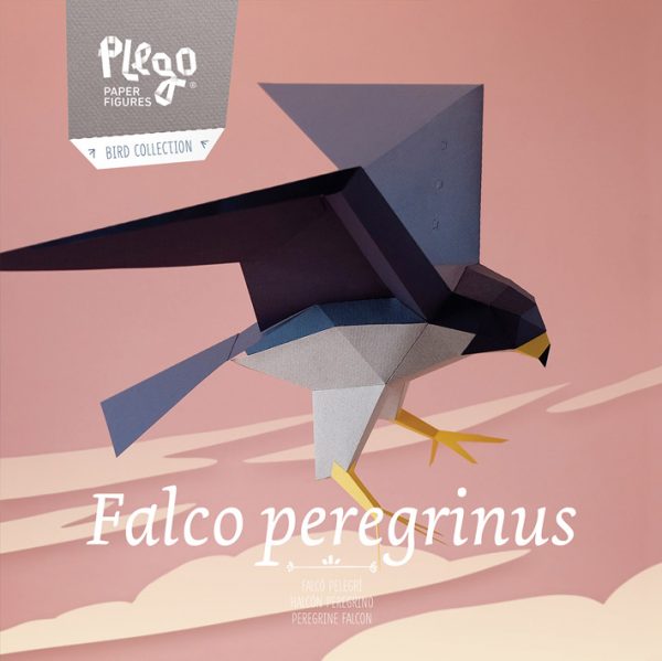falco peregrinus peregrine falcon