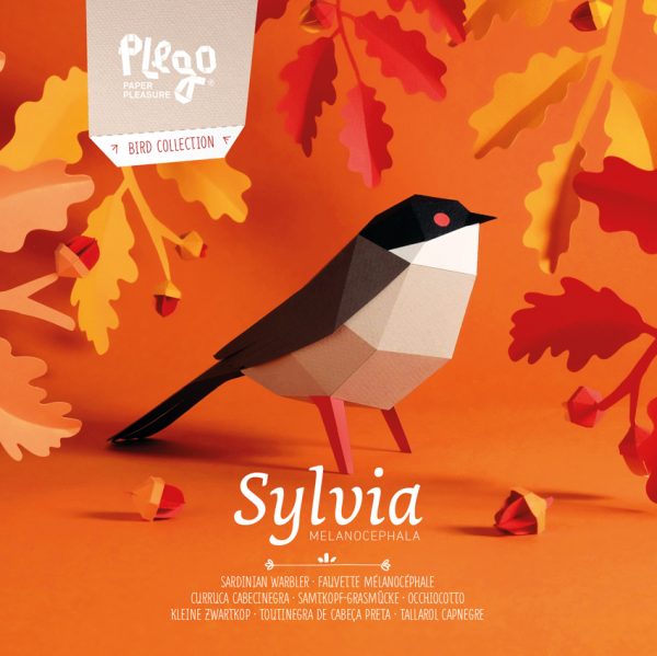 Sylvia melanocephala paper bird by Plego